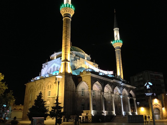 Image by <a href="https://pixabay.com/users/gokmenecer-915601/?utm_source=link-attribution&utm_medium=referral&utm_campaign=image&utm_content=710730">Gökmen Ecer</a> from <a href="https://pixabay.com//?utm_source=link-attribution&utm_medium=referral&utm_campaign=image&utm_content=710730">Pixabay</a>