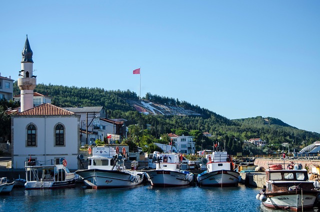 Image by <a href="https://pixabay.com/users/ozankara93-5451312/?utm_source=link-attribution&utm_medium=referral&utm_campaign=image&utm_content=5580544">Ozan Karabulut</a> from <a href="https://pixabay.com//?utm_source=link-attribution&utm_medium=referral&utm_campaign=image&utm_content=5580544">Pixabay</a>