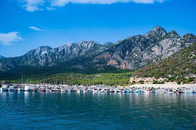 Image by <a href="https://pixabay.com/users/aysglalp-21217208/?utm_source=link-attribution&utm_medium=referral&utm_campaign=image&utm_content=7509334">Aysegul Aytoren</a> from <a href="https://pixabay.com//?utm_source=link-attribution&utm_medium=referral&utm_campaign=image&utm_content=7509334">Pixabay</a>
