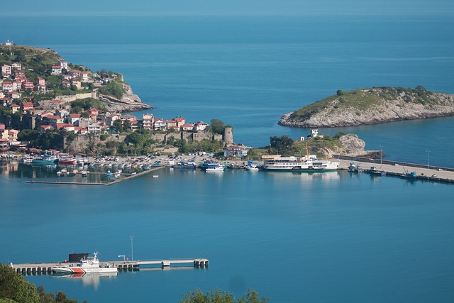Image by <a href="https://pixabay.com/users/demet75-5929397/?utm_source=link-attribution&utm_medium=referral&utm_campaign=image&utm_content=3250304">Demet75</a> from <a href="https://pixabay.com//?utm_source=link-attribution&utm_medium=referral&utm_campaign=image&utm_content=3250304">Pixabay</a>