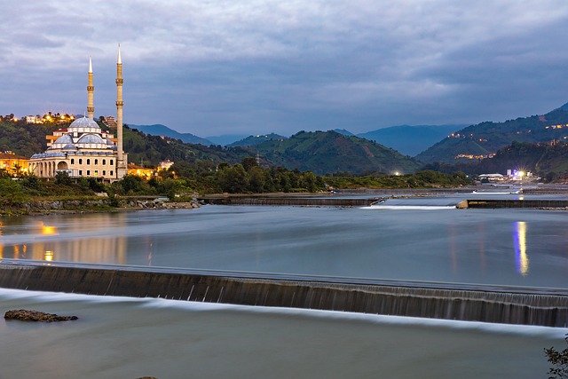 Image by <a href="https://pixabay.com/users/rizelli-1798808/?utm_source=link-attribution&utm_medium=referral&utm_campaign=image&utm_content=3936998">RiZeLLi</a> from <a href="https://pixabay.com//?utm_source=link-attribution&utm_medium=referral&utm_campaign=image&utm_content=3936998">Pixabay</a>