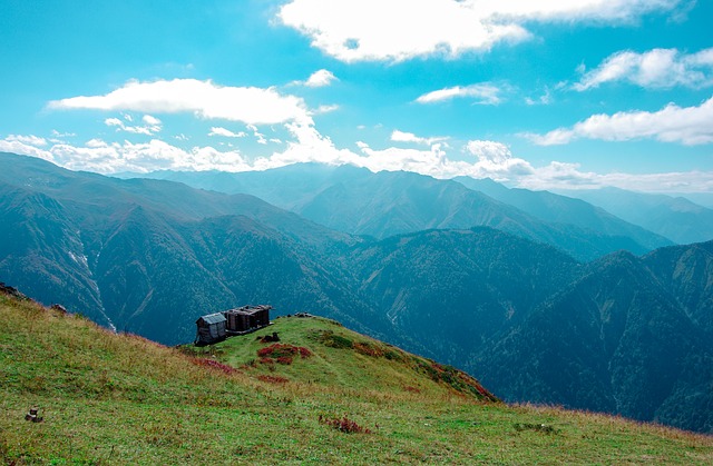 Image by <a href="https://pixabay.com/users/yusufk53-5137710/?utm_source=link-attribution&utm_medium=referral&utm_campaign=image&utm_content=3712175">yusuf kazancı</a> from <a href="https://pixabay.com//?utm_source=link-attribution&utm_medium=referral&utm_campaign=image&utm_content=3712175">Pixabay</a>