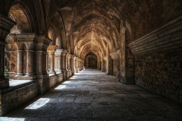 Image by <a href="https://pixabay.com/users/tama66-1032521/?utm_source=link-attribution&utm_medium=referral&utm_campaign=image&utm_content=6560623">Peter H</a> from <a href="https://pixabay.com//?utm_source=link-attribution&utm_medium=referral&utm_campaign=image&utm_content=6560623">Pixabay</a>
