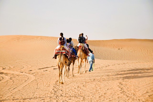 10 Family-Friendly Things to do in Abu Dhabi