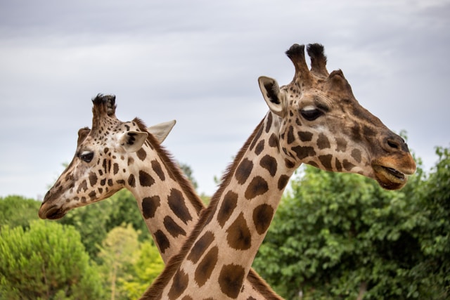 10 Family-Friendly Things to do in Abu Dhabi