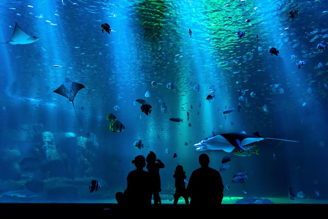 10 Family-Friendly Things to do in Abu Dhabi