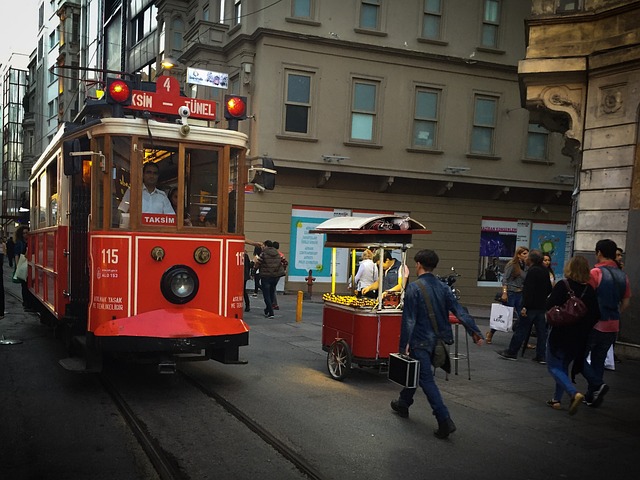 Image by Shah Rokh from Pixabay istanbul