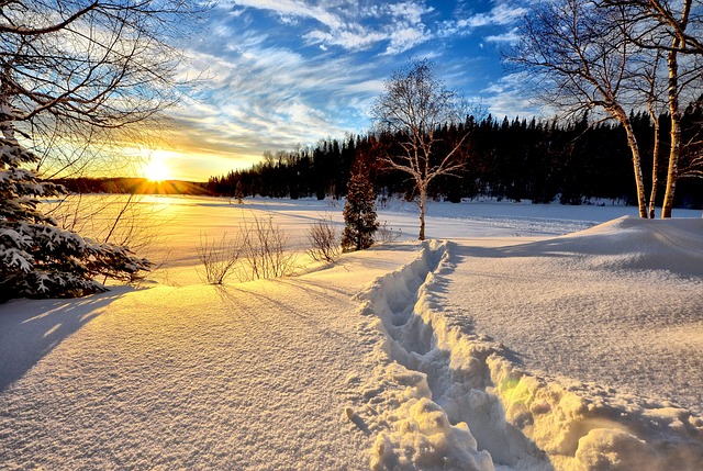 Image by Alain Audet from Pixabay