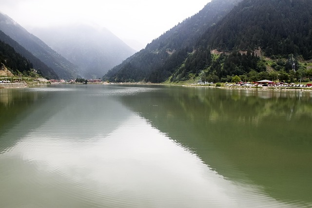 Image by <a href="https://pixabay.com/users/kenantekin-1034504/?utm_source=link-attribution&utm_medium=referral&utm_campaign=image&utm_content=819335">Kenan Tekin</a> from <a href="https://pixabay.com//?utm_source=link-attribution&utm_medium=referral&utm_campaign=image&utm_content=819335">Pixabay</a>