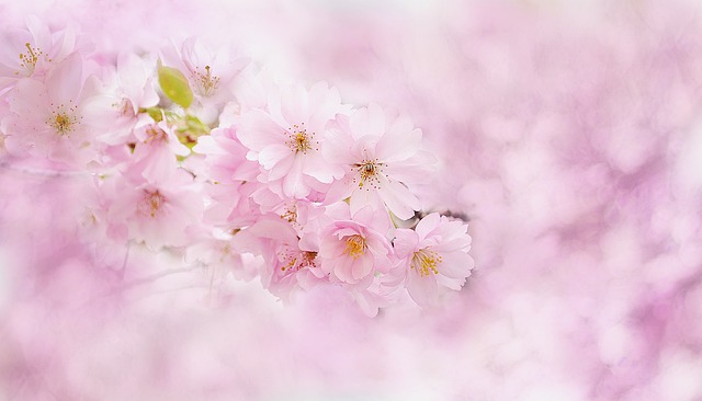 Picture from pixabay